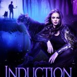 Induction (Sid & Sin Series Book 1)